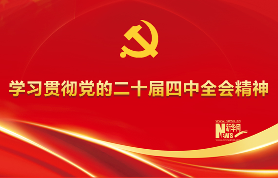 学习贯彻党的二十届四中全会精神